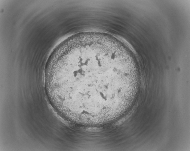 X0000086030839200704201944