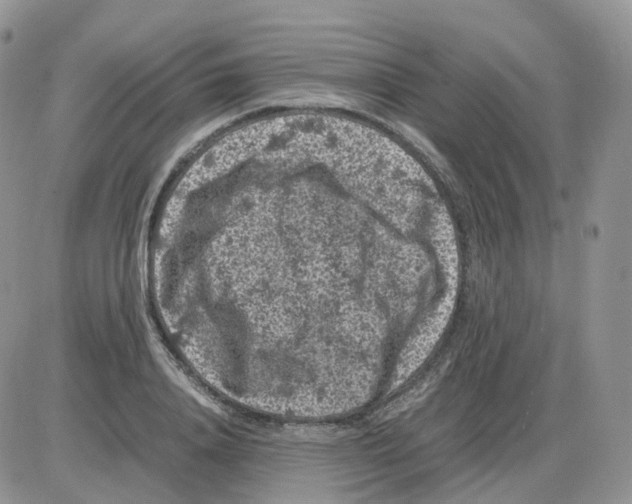 X0000086030840200704201944