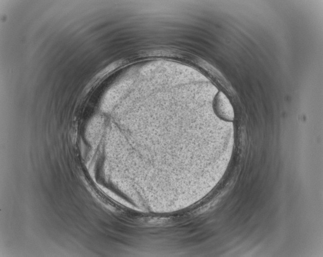 X0000086030841200704201944