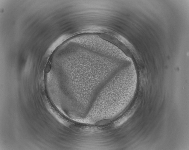 X0000086030842200704201944