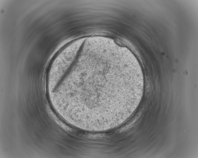 X0000086030843200704201944