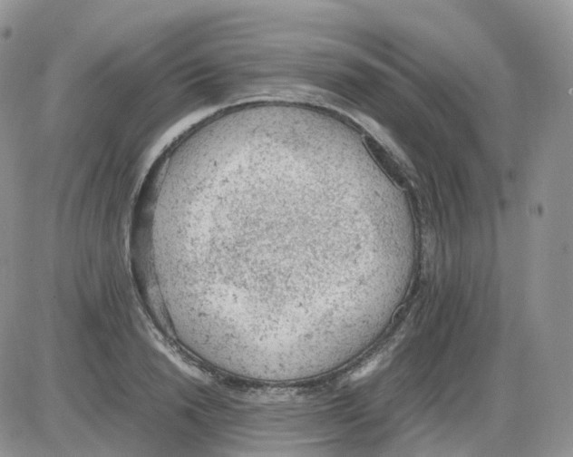 X0000086030846200704201944