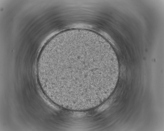 X0000086030848200704201944