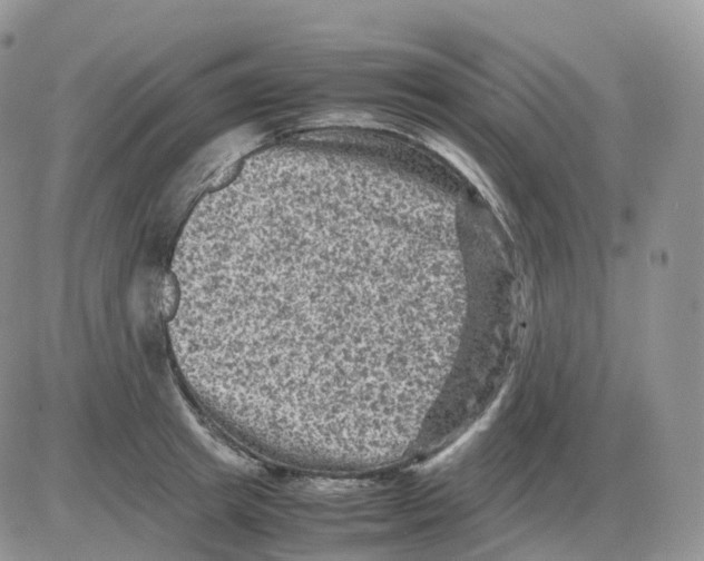 X0000086030849200704201944