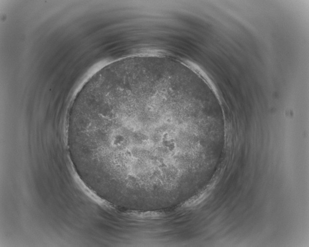 X0000086030851200704201944