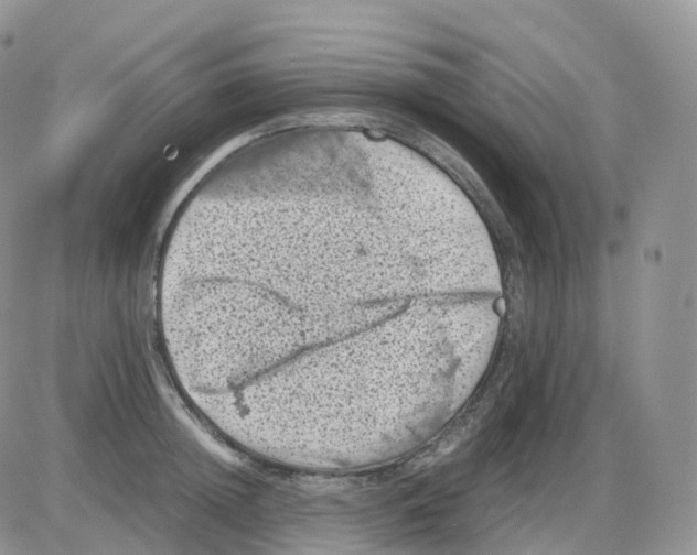 X0000086030852200704201944