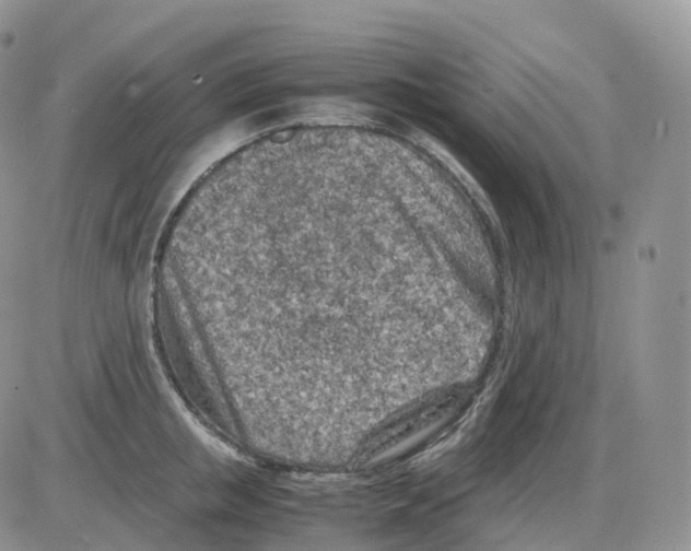 X0000086030853200704201944