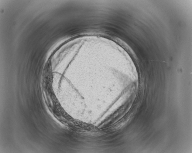 X0000086030855200704201944