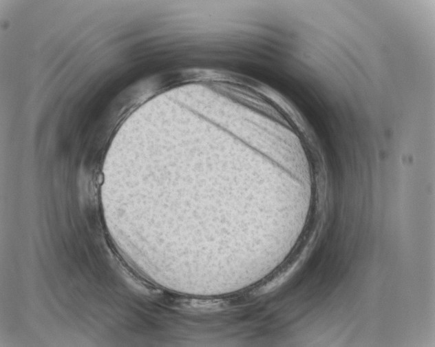 X0000086030857200704201944