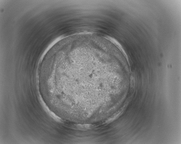 X0000086030859200704201944