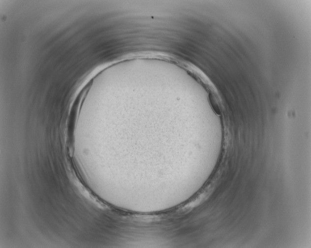 X0000086030860200704201944