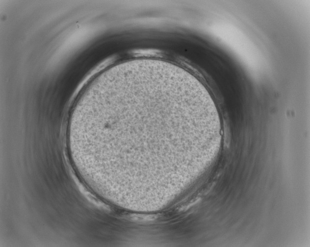 X0000086030861200704201944