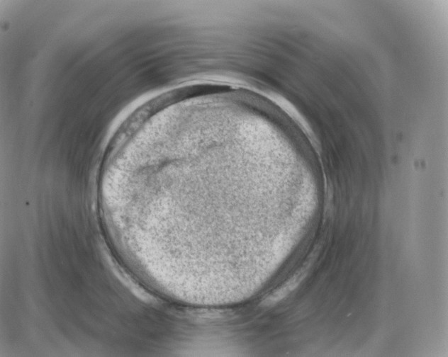 X0000086030862200704201944