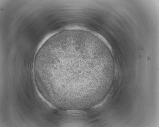 X0000086030863200704201944