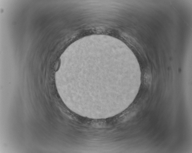 X0000086030865200704201944