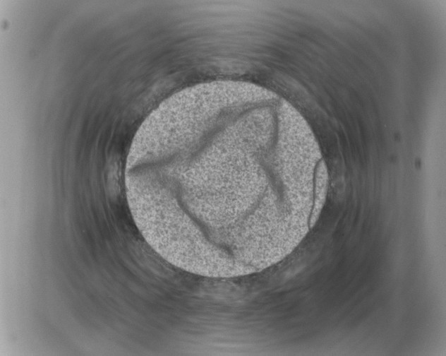 X0000086030866200704201944