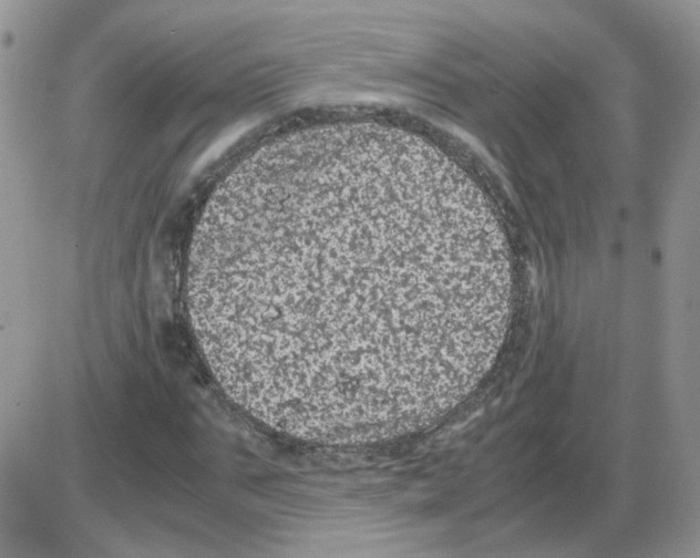 X0000086030871200704201944