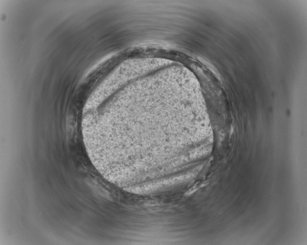 X0000086030872200704201944