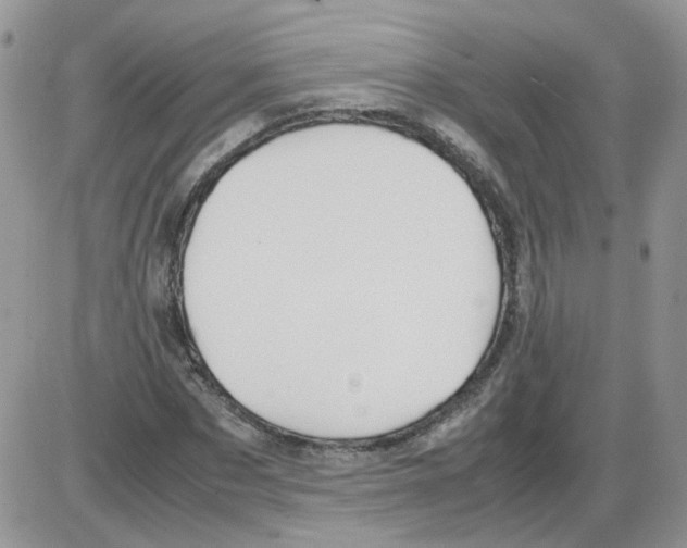 X0000086030873200704201943