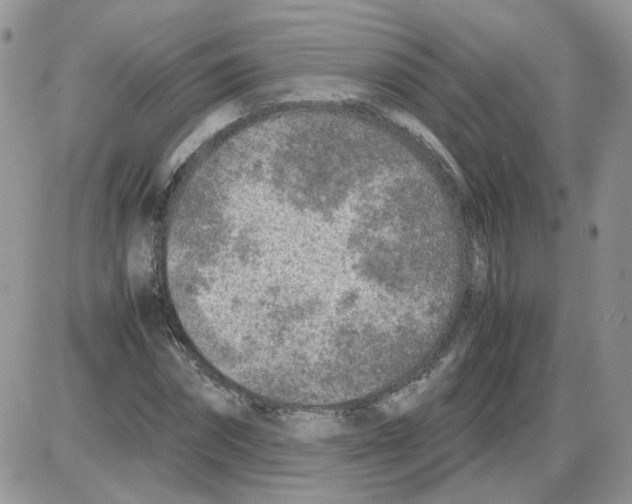 X0000086030874200704201943