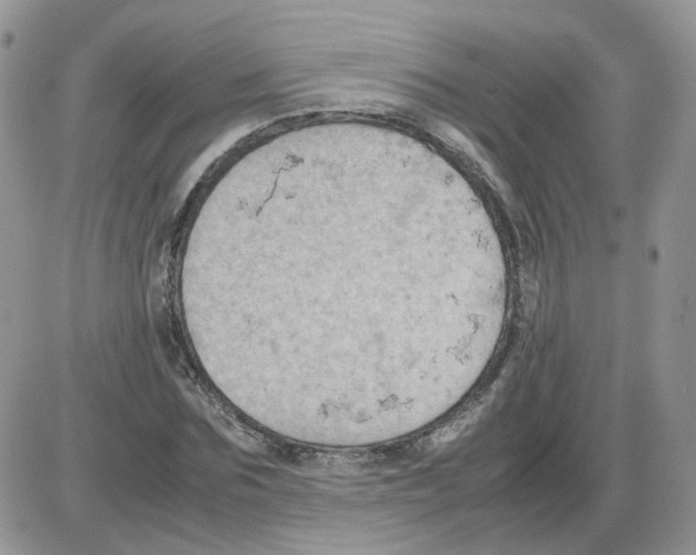 X0000086030875200704201943