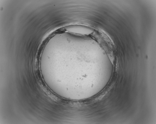 X0000086030876200704201943