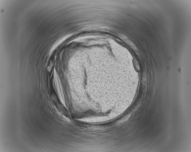 X0000086030877200704201943