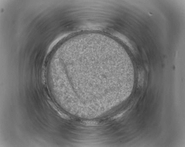 X0000086030878200704201943