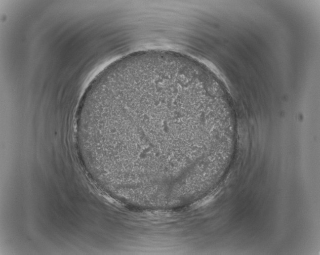 X0000086030879200704201943