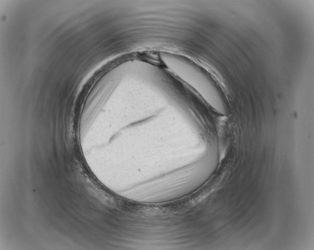 X0000086030880200704201943