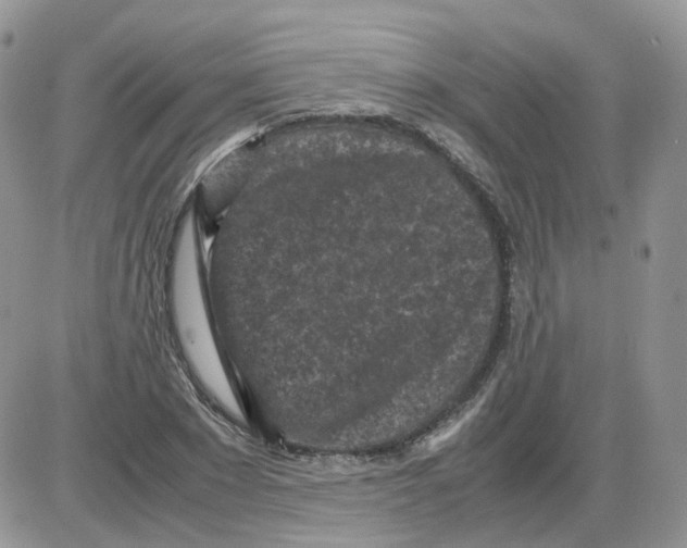 X0000086030881200704201943