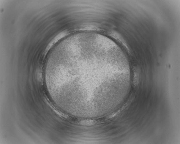 X0000086030882200704201943