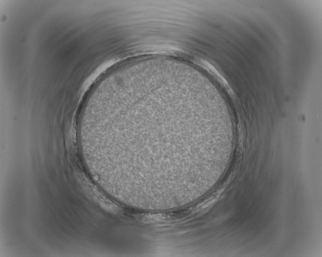 X0000086030883200704201943