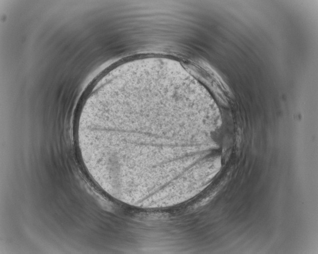 X0000086030884200704201943