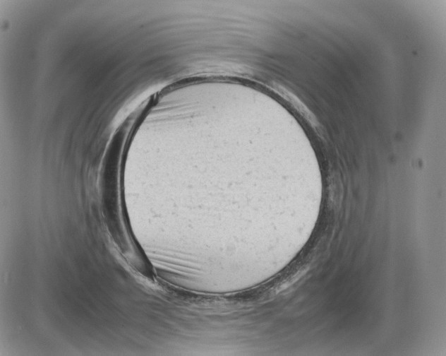 X0000086030885200704201943