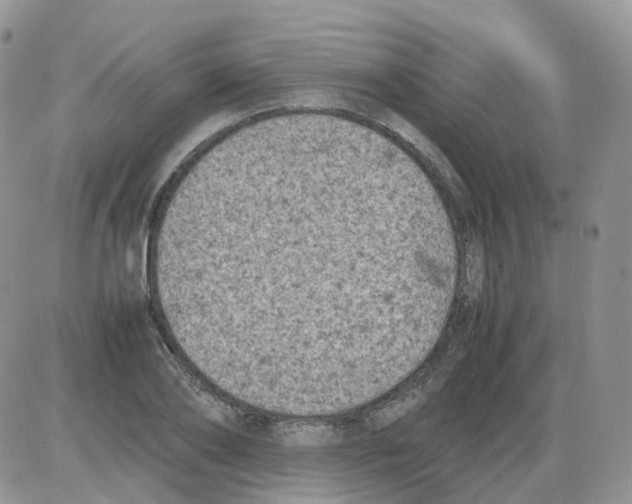 X0000086030886200704201943