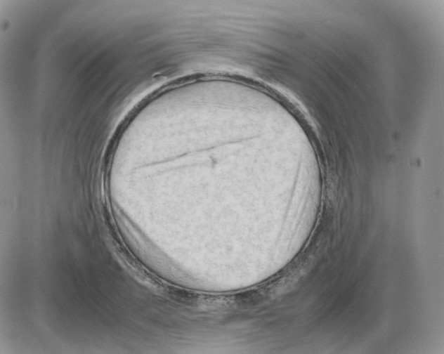 X0000086030887200704201943