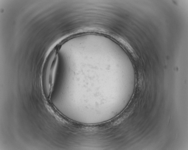 X0000086030888200704201943