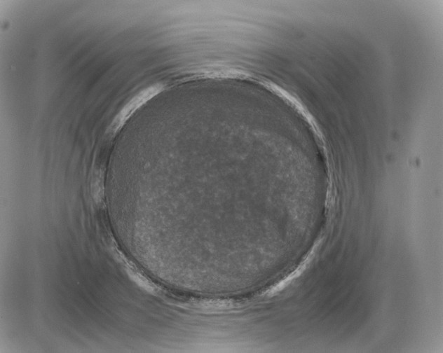 X0000086030889200704201943