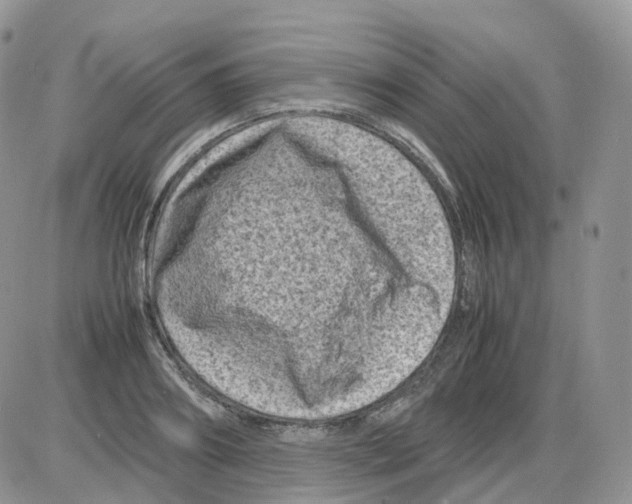 X0000086030890200704201943