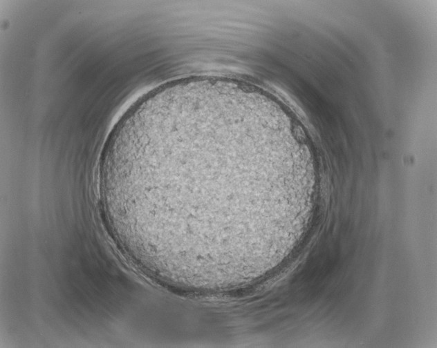 X0000086030891200704201943