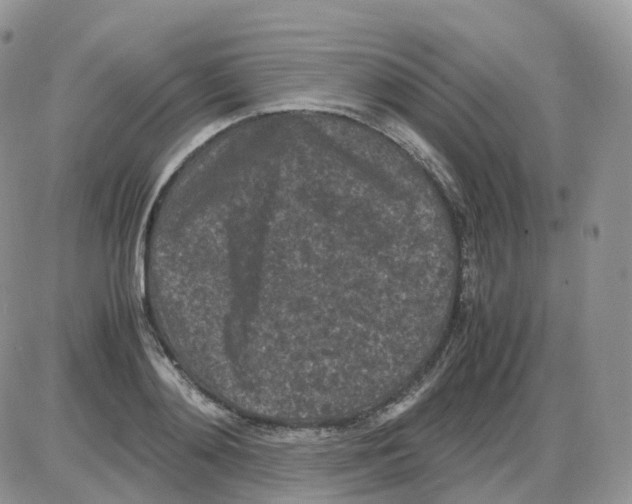 X0000086030892200704201943