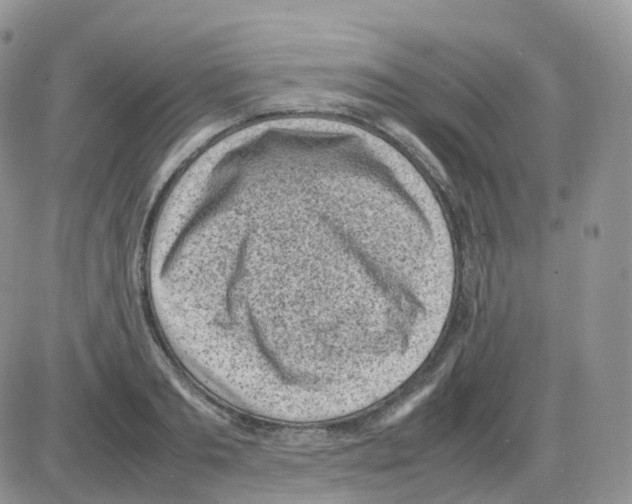 X0000086030893200704201943