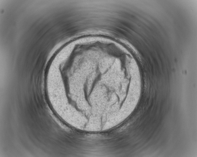 X0000086030894200704201943