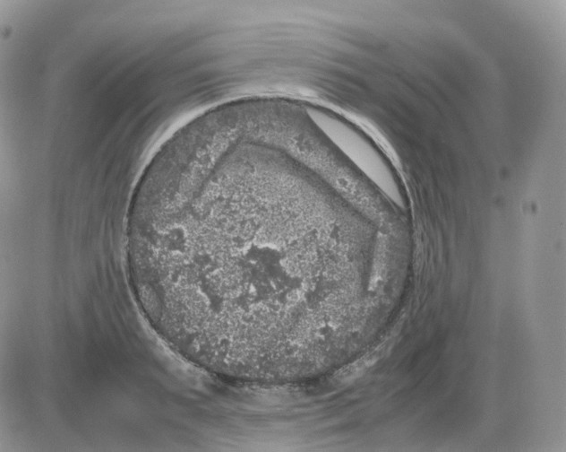 X0000086030895200704201943