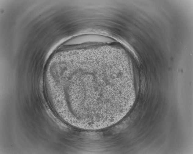 X0000086030896200704201943