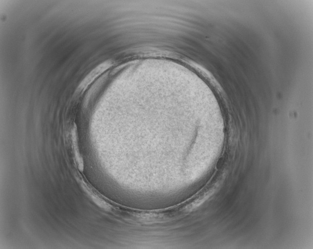 X0000086030897200704201943