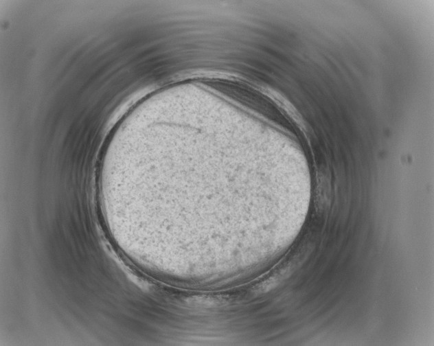 X0000086030898200704201943