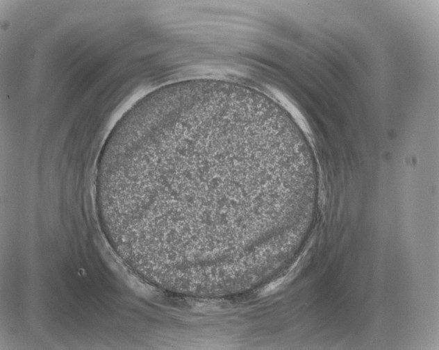 X0000086030899200704201943