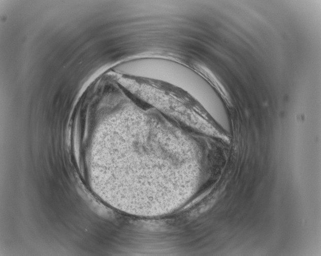 X0000086030900200704201943